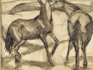 Twee paarden