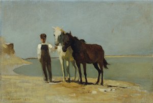 Een jongen met paarden op het strand