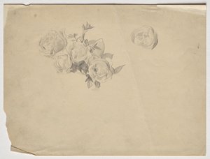 Rozenstudie door Franz von Matsch
