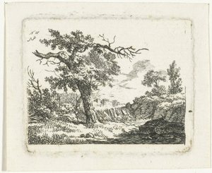Landschap met boom met twee dode takken