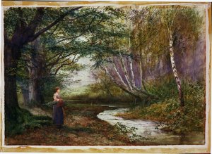 Burnham Beeches, herfst