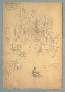 Een Gedetailleerde Studie van een Zittende Man en een Groep Planten, Ecuador