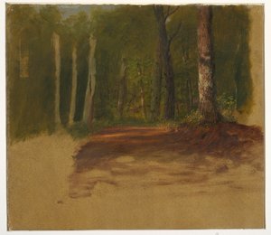 Een weg in het bos