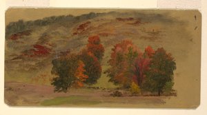 Herfstlandschap door Frederic Edwin Church