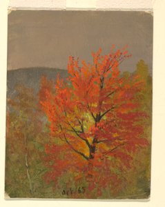 Herfstlandschap, Vermont