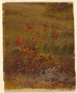 Botanische studies door Frederic Edwin Church
