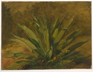 Botanische studie