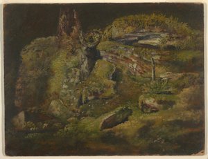 Rots in het Bos door Frederic Edwin Church