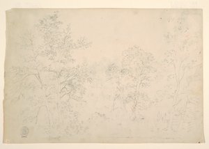 Kastanjebomen aan de waterkant door Frederic Edwin Church