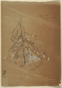 Tekening, Een knoestige wintergroene, Grand Manan, Canada, augustus 1851 door Frederic Edwin Church
