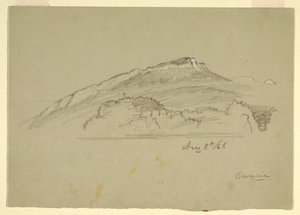 Tekening, Een boom, Beieren, 8 augustus 1868 door Frederic Edwin Church