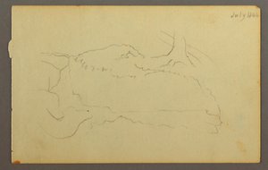 Tekening, Basis van een boom, keien, 1844