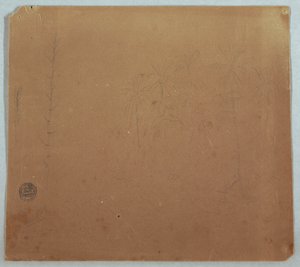 Tekening, Botanische Schetsen, Mogelijk Bamboes, Palmen en Struiken, Ecuador of Colombia, 1853 of 1857 door Frederic Edwin Church