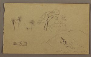 Tekening, botanische schetsen, figuur, mei-augustus 1865 door Frederic Edwin Church