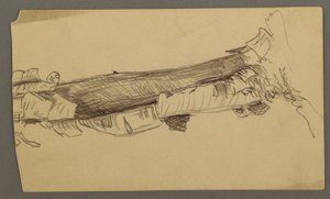 Tekening, onderdoorsnede van een dode boomstam, 1877 door Frederic Edwin Church