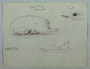 Tekening, Ceiba boom bij Mompos, Champan kano, bomen en een gedeeltelijke boot, Rio Magdelena, Colombia, 1853, waarschijnlijk mei
