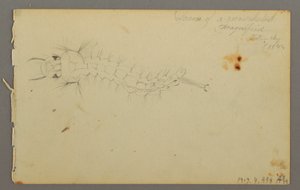Tekening, Wolkenstudie, 1844 door Frederic Edwin Church