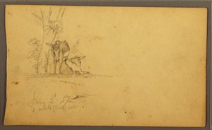 Tekening, Ezels, 2 juni 1857