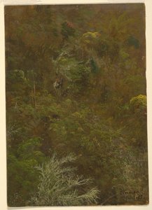 Tekening, Heuvel bedekt met struiken amp; bomen, juli 1865 door Frederic Edwin Church