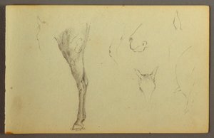 Tekening, Paardenstudies, mogelijk 1844