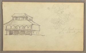 Tekening, Huis, Botanische schets, Ecuador of Colombia, 1857