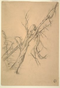 Tekening, indianenkampement, Grand Manan, baai van Fundy, september 1851 door Frederic Edwin Church