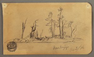 Tekening, eiland, 1878 door Frederic Edwin Church