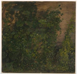 Tekening, Junglevegetatie, 1865 door Frederic Edwin Church