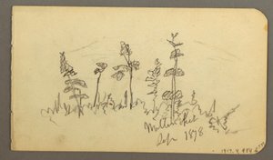 Tekening, meer kijkend in de richting van Mt. Katahdin, 1878 door Frederic Edwin Church