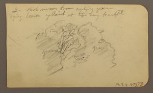 Tekening, Landschap, huizen; Verso: Boomtop, februari 1885 door Frederic Edwin Church