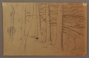 Tekening, onderste delen van een groep bomen op een helling, 1862 door Frederic Edwin Church
