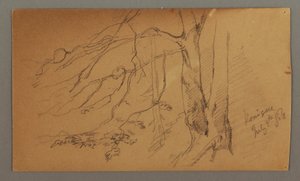 Tekening, onderste helft van boom, 9 juli 1868 door Frederic Edwin Church