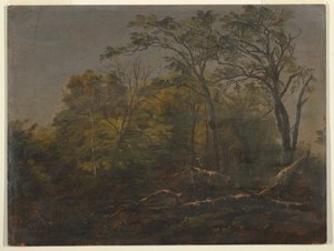 Tekening, Maine Woods, 1845-55 door Frederic Edwin Church