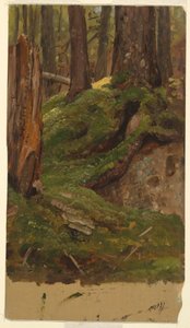 Tekening, Maine  bossen, 1855-65 door Frederic Edwin Church