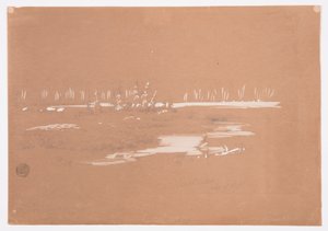 Tekening, Moerassig landschap bij Millinocket, 20 september 1878 door Frederic Edwin Church