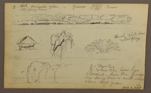 Tekening, Mountain Ranges "entering Guayaquil"; Verso: River Bank, Botanical Sketches, mogelijk 1857 door Frederic Edwin Church