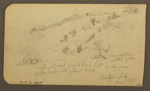 Tekening, Berg, Zapotlan; Verso: Beboste helling, Cuitzeo meer, januari 1885 door Frederic Edwin Church