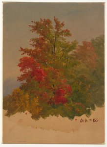 Tekening, Mt. Desert Island , Maine, oktober 1860