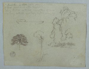 Tekening, Natuurstudies van de Rio Magdalena, Colombia:  Bomen, wijnranken en een kano, mei 1853 door Frederic Edwin Church