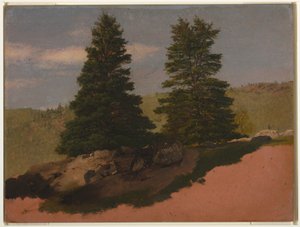 Tekening, Landschap in New England (Twee pijnbomen), 1850 door Frederic Edwin Church