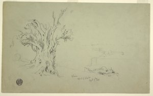Tekening, Olijfboom, Olijfberg, april 1868 door Frederic Edwin Church