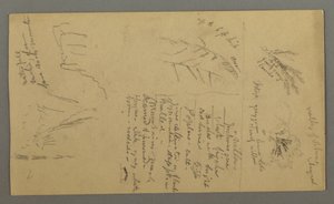 Tekening, Plantenstudies, Plantennotities, Waterval, 1868 door Frederic Edwin Church