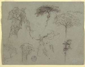 Tekening, Studies van bomen, Ecuador, 1853 door Frederic Edwin Church