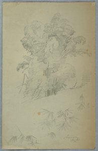 Tekening, Studies van bomen en takken, Jamaica, augustus 1865 door Frederic Edwin Church