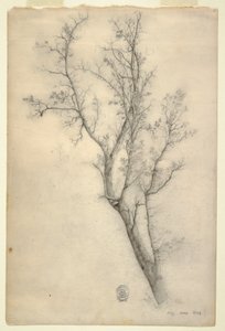 Tekening, Boom met vele takken, juli 1844 door Frederic Edwin Church