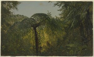 Tekening, Tropisch landschap, juni of juli 1865 door Frederic Edwin Church