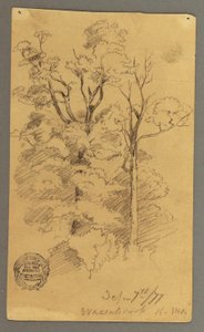 Tekening, Twee bomen, 1877 door Frederic Edwin Church