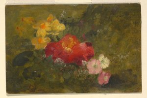 Tekening, Wilde bloemen, Jamaica, 1865