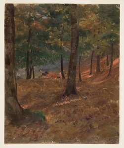 Tekening, Boslandschap, 1870-80 door Frederic Edwin Church
