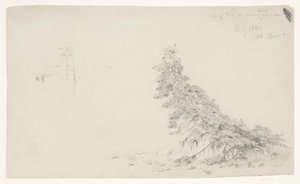 Altijdgroene Boom bij de Kust met een Detail van de Vuurtoren en een Huis, Mount Desert, Maine door Frederic Edwin Church
